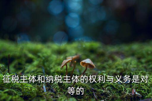 征稅主體和納稅主體的權(quán)利與義務(wù)是對等的