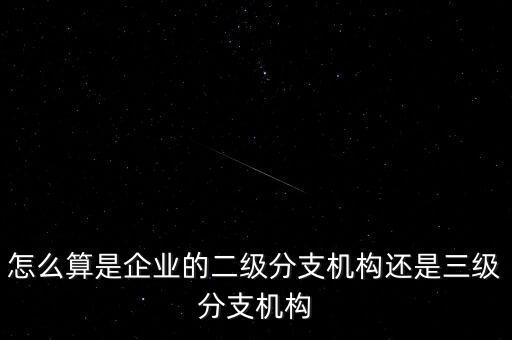 什么叫企業(yè)二級分支機構(gòu)，現(xiàn)在分公司要辦稅務(wù)登記證但是我想問一下二級分機構(gòu)指的是