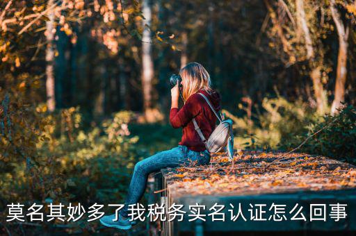 莫名其妙多了我稅務實名認證怎么回事