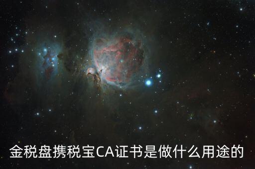 稅友的ca是什么，什么是稅務局的CA證書