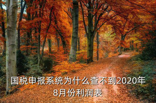 國稅申報(bào)系統(tǒng)為什么查不到2020年8月份利潤表