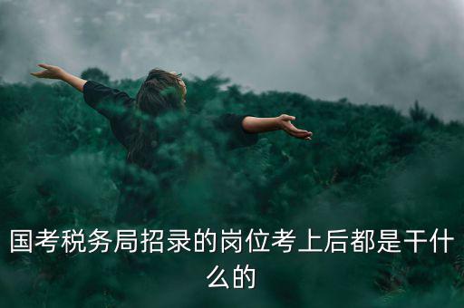 國考稅務(wù)局招錄的崗位考上后都是干什么的