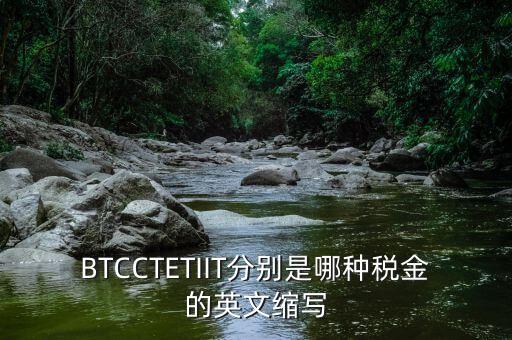 bt 是什么稅，BTCCTETIIT分別是哪種稅金的英文縮寫