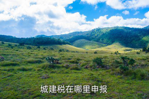 地稅城市維護建設(shè)稅按什么申報，城建稅申報