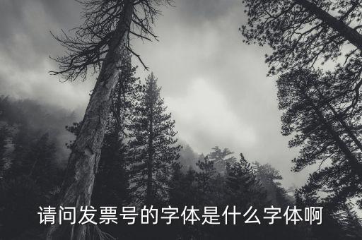 請(qǐng)問(wèn)發(fā)票號(hào)的字體是什么字體啊