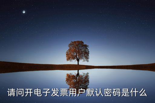 請問開電子發(fā)票用戶默認密碼是什么