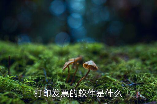 p發(fā)票用什么軟件，我想p一下發(fā)票的內(nèi)容要哪個軟件好