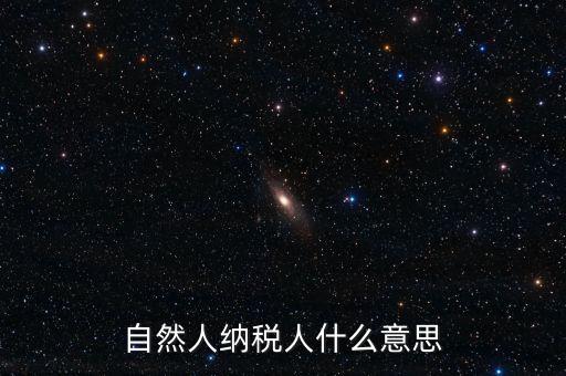 登記稅務(wù)的自然人是什么意思，請問一下自然人登記是什么意思