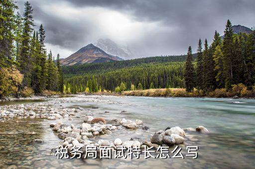 稅務(wù)局看重什么特長(zhǎng)，稅務(wù)局面試特長(zhǎng)怎么寫(xiě)