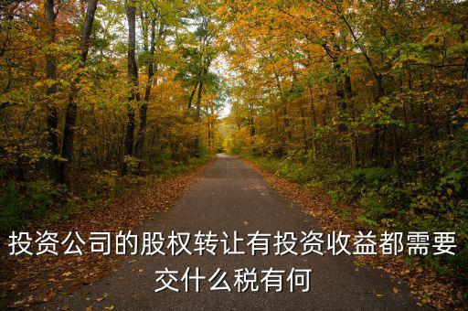 投資公司要交什么稅，投資集團(tuán)公司如何繳稅