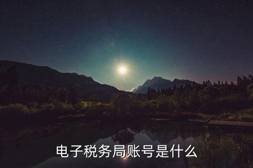 網(wǎng)上稅務(wù)局登陸賬號是什么，電子稅務(wù)局賬號是什么號碼