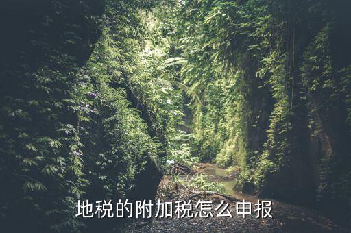 什么是附加稅申報(bào)，地稅的附加稅怎么申報(bào)