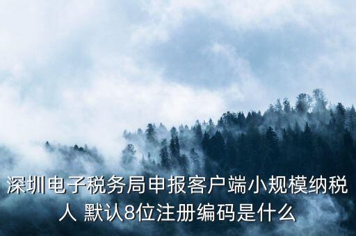 深圳電子稅務(wù)局申報客戶端小規(guī)模納稅人 默認8位注冊編碼是什么