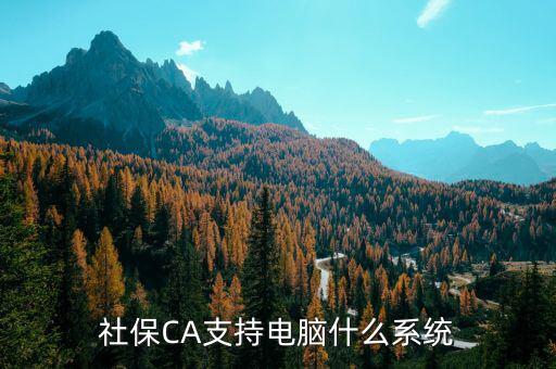 ca控件什么系統(tǒng)，社保CA支持電腦什么系統(tǒng)