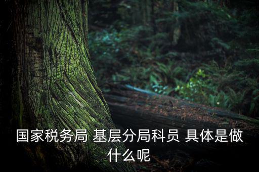 國地稅征管改革黨員干部干什么，國家稅務局 基層分局科員 具體是做什么呢