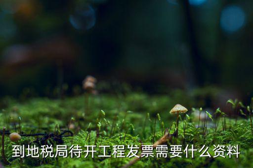 到地稅局待開工程發(fā)票需要什么資料