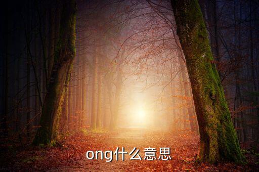 發(fā)票ong什么意思，ong什么意思