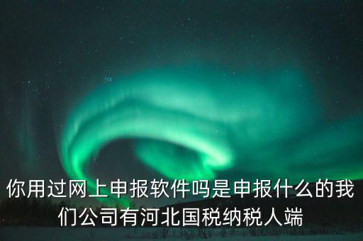 企業(yè)申報客戶端是什么，你用過網(wǎng)上申報軟件嗎是申報什么的我們公司有河北國稅納稅人端