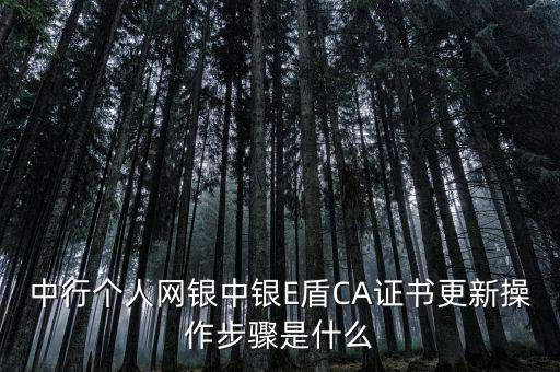 升級ca需要什么，CA證書怎么從副盤升級成正盤