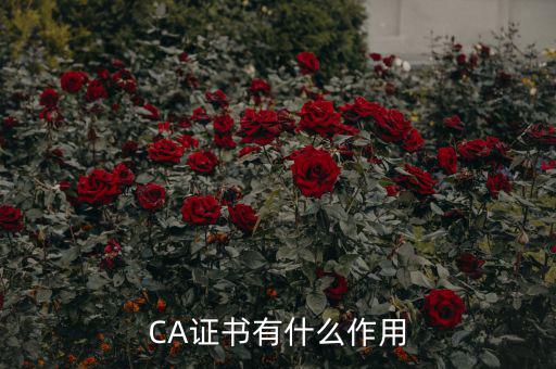 CA證書有什么作用