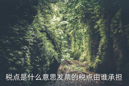 稅點由什么決定，稅點是什么意思