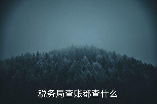 稅務局查賬都查什么