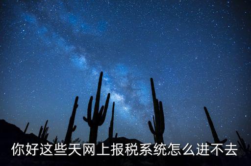 為什么個稅系統(tǒng)打不開，你好這些天網(wǎng)上報稅系統(tǒng)怎么進不去