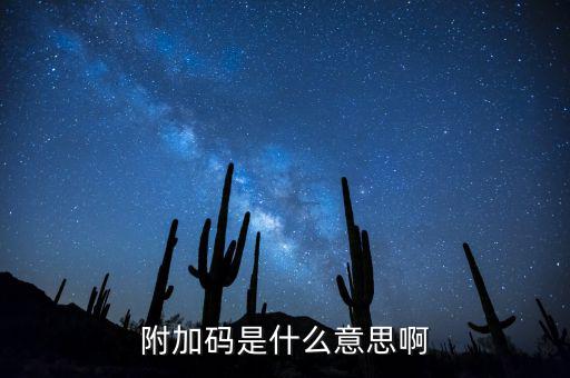 遼寧查發(fā)票有一個附加碼是什么，發(fā)票真?zhèn)尾樵兇a是什么