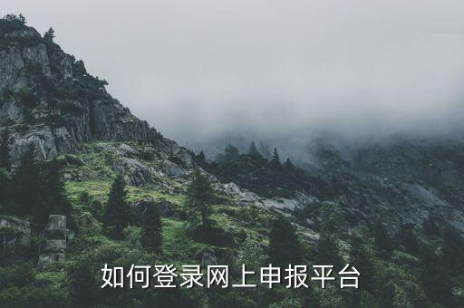 如何登錄網(wǎng)上申報(bào)平臺(tái)