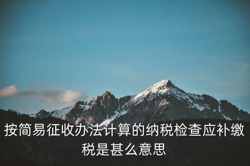 簡易征收什么意思，按簡易征收辦法計算的納稅檢查應(yīng)補繳稅是甚么意思