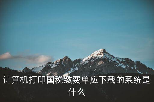 計(jì)算機(jī)打印國稅繳費(fèi)單應(yīng)下載的系統(tǒng)是什么