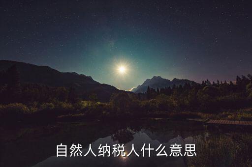 自然人納稅人什么意思