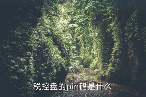 報(bào)稅pin口令是什么，稅控盤的pin碼是什么