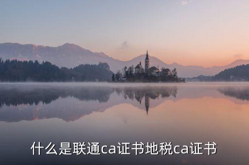 什么是地稅ca證書，社保CA地稅CA