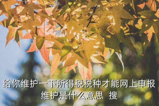 給你維護(hù)一下所得稅稅種才能網(wǎng)上申報維護(hù)是什么意思  搜