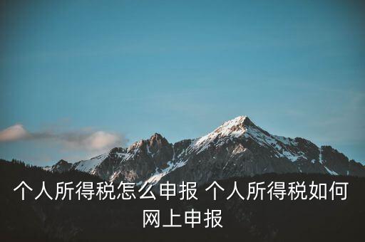 個人所得稅怎么申報 個人所得稅如何網(wǎng)上申報