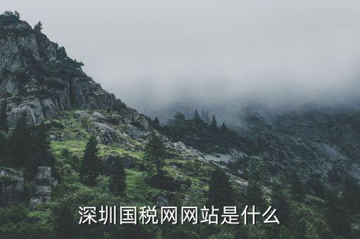 深圳國(guó)稅網(wǎng)網(wǎng)站是什么