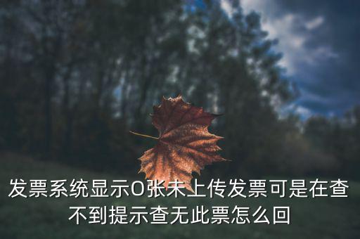 發(fā)票系統(tǒng)顯示O張未上傳發(fā)票可是在查不到提示查無(wú)此票怎么回