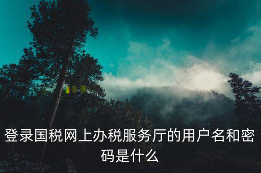 登錄國稅網(wǎng)上辦稅服務(wù)廳的用戶名和密碼是什么