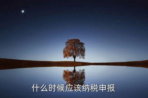 消費稅什么時候申報，什么時候應(yīng)該納稅申報