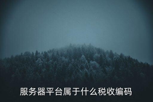 服務(wù)器平臺(tái)屬于什么稅收編碼