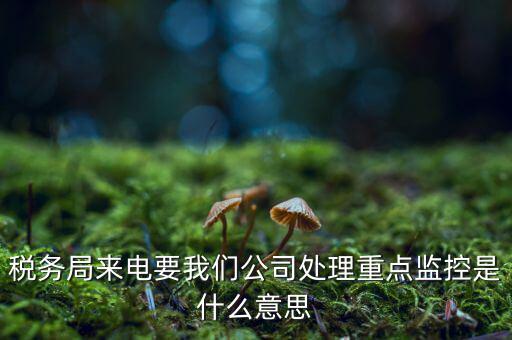 稅務(wù)局來電要我們公司處理重點監(jiān)控是什么意思