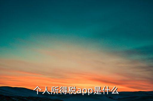 網(wǎng)上交稅要下載什么東西，個(gè)人所得稅官網(wǎng)登錄企業(yè)個(gè)人所得稅要下載什么端口申報(bào)