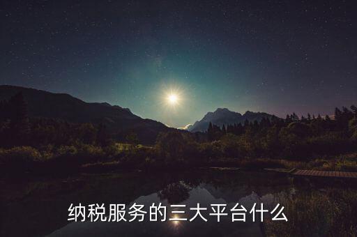 納稅服務的三大平臺什么