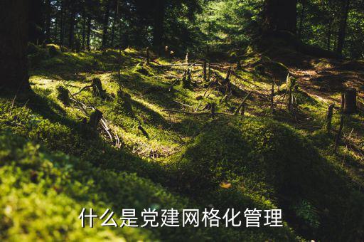 什么是黨建網(wǎng)格化管理