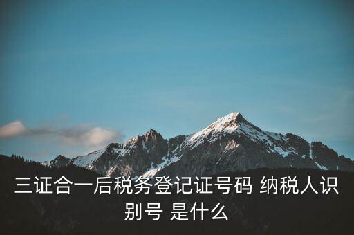 三證合一納稅識別號是什么，三證合一后納稅人識別號是什么意思