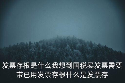 發(fā)票電子存根是什么，發(fā)票存根是什么