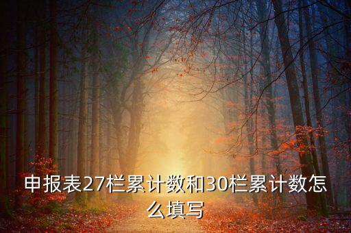 什么是期初未繳稅額，申報表27欄累計數(shù)和30欄累計數(shù)怎么填寫