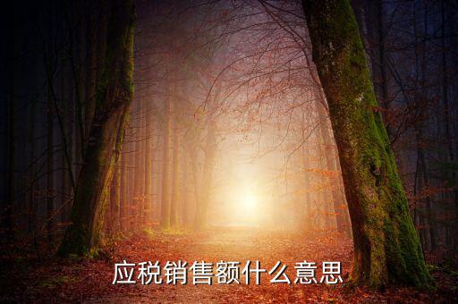 稅務(wù)銷售額是什么意思，年應(yīng)稅銷售額是什么意思