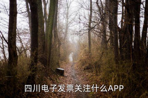 四川電子發(fā)票關注什么APP